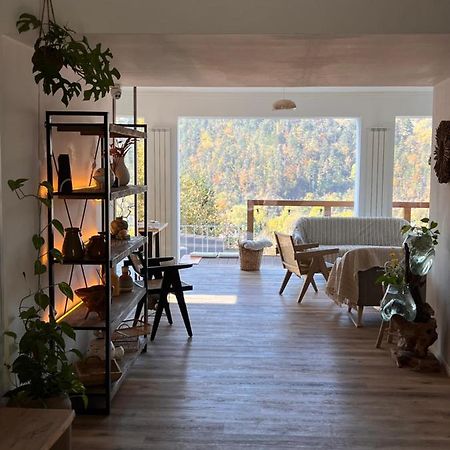 Shard Boutique Hotel-Adult Only Brasov Luaran gambar