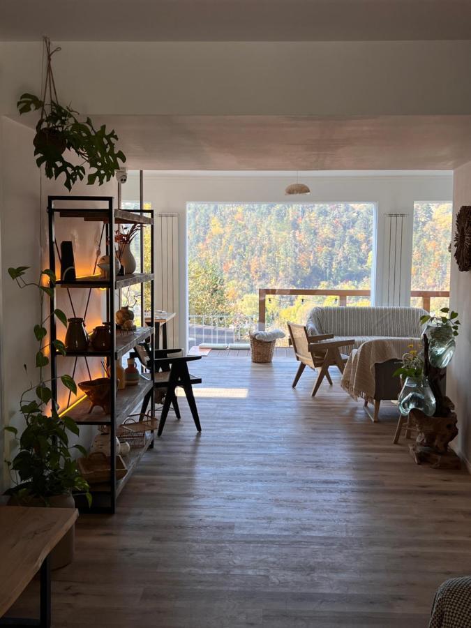 Shard Boutique Hotel-Adult Only Brasov Luaran gambar